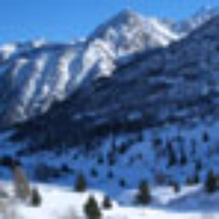 Maya Indian Takeaway